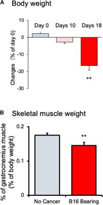 Effect of Ninjin’yoeito on the Loss of Skeletal Muscle Function in Cancer-Bearing Mice